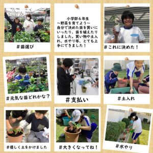 自分で決めた苗を買いにいったり、苗を植えたりしました。買い物や土入れ、水やり等、とても上手にできました！