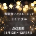 ドミナリエのお知らせ