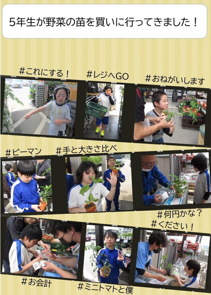 小学部５年生の児童たちが、苗を選んだり、レジでお金を払ったりする写真が載っています。