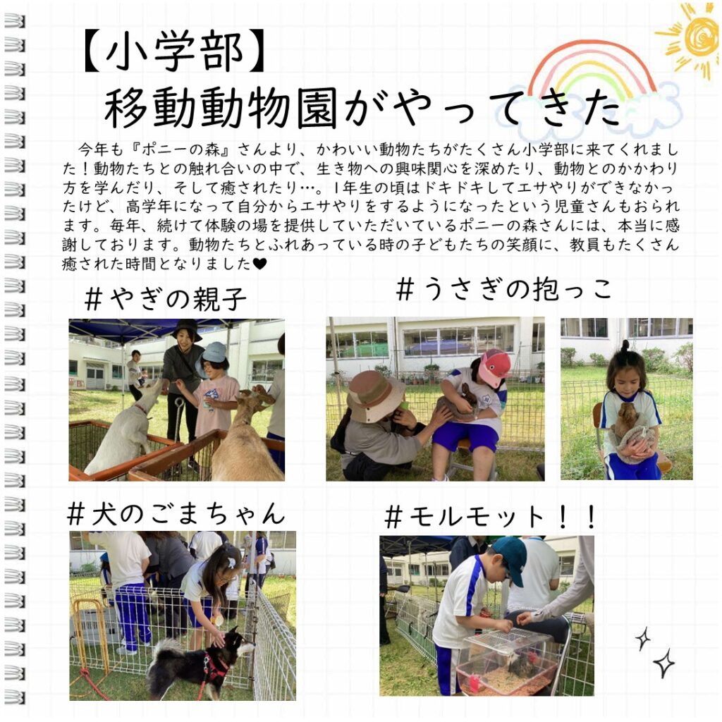 今年も『ポニーの森』さんより、かわいい動物たちがたくさん小学部に来てくれました！動物たちとの触れ合いの中で、生き物への興味関心を深めたり、動物とのかかわり方を学んだり、そして癒されたり…。1年生の頃はドキドキしてエサやりができなかったけど、高学年になって自分からエサやりをするようになったという児童さんもおられます。毎年、続けて体験の場を提供していただいているポニーの森さんには、本当に感謝しております。動物たちとふれあっている時の子どもたちの笑顔に、教員もたくさん癒された時間となりました❤