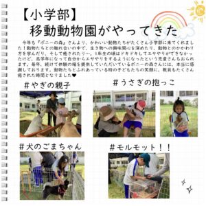 今年も『ポニーの森』さんより、かわいい動物たちがたくさん小学部に来てくれました！動物たちとの触れ合いの中で、生き物への興味関心を深めたり、動物とのかかわり方を学んだり、そして癒されたり…。1年生の頃はドキドキしてエサやりができなかったけど、高学年になって自分からエサやりをするようになったという児童さんもおられます。毎年、続けて体験の場を提供していただいているポニーの森さんには、本当に感謝しております。動物たちとふれあっている時の子どもたちの笑顔に、教員もたくさん癒された時間となりました❤