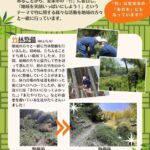 竹林整備の様子の写真です。筍堀りもしました。