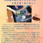 あしたもえがおでNO.15