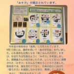 あしたもえがおでNO.17
